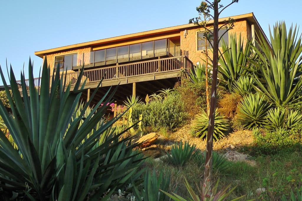 Starfish Surf House Villa เจฟฟรีส์เบย์ ห้อง รูปภาพ